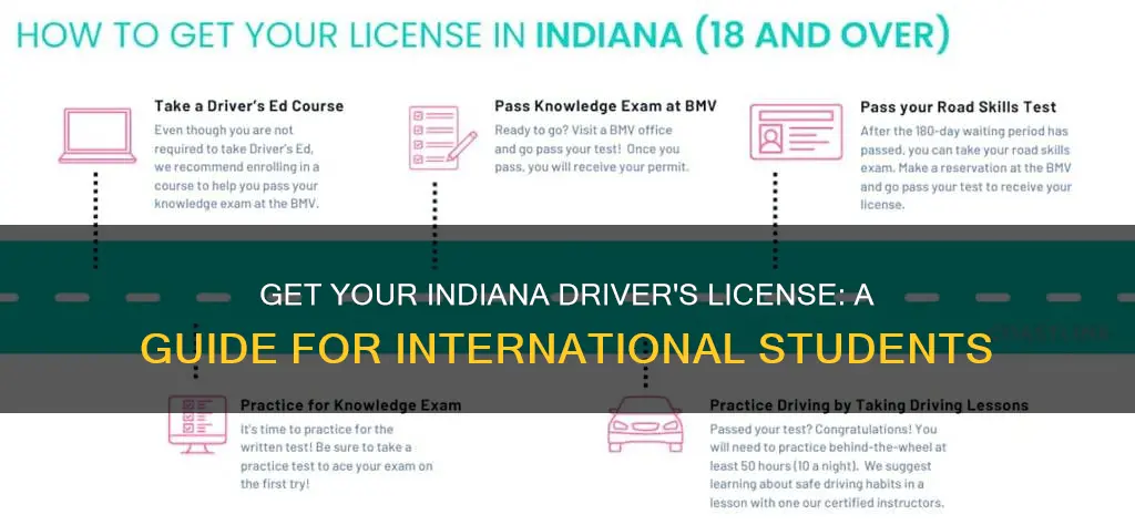 how to get drivers licsense in indiana international student