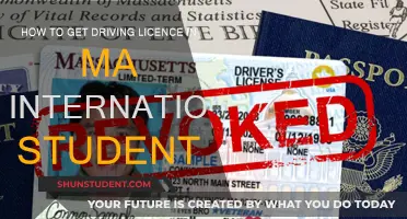 International Student's Guide to Getting a Driving License