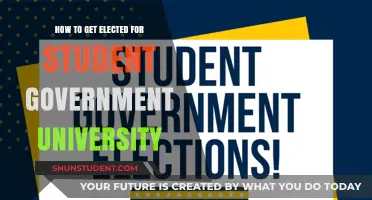 Strategies for Winning a Student Government Election