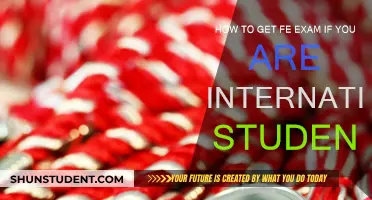 Cracking the FE Exam as an International Student