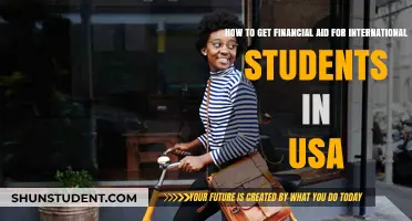 International Students: Financial Aid Options in the USA