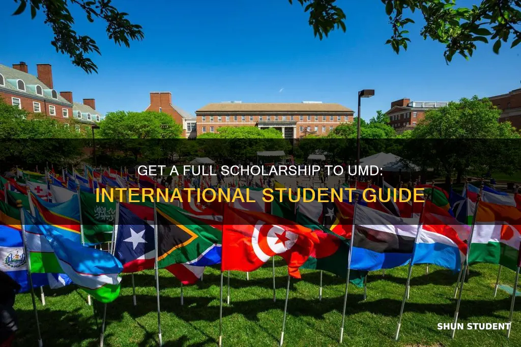 how to get full scholarship from umd for international students