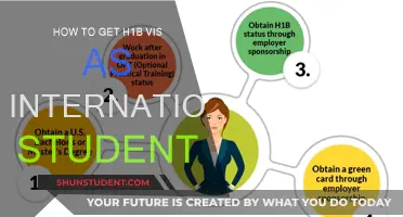 International Students: Securing Your H-1B Visa