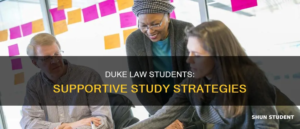 how to get help from duke university law students