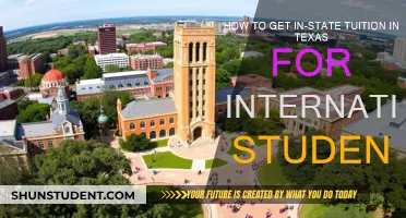 Unlocking In-State Tuition: A Guide for Texas-Based International Students