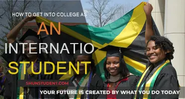 International Students: Strategies for College Admissions Success