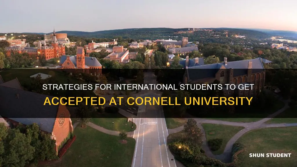 how to get into cornell university as an international student