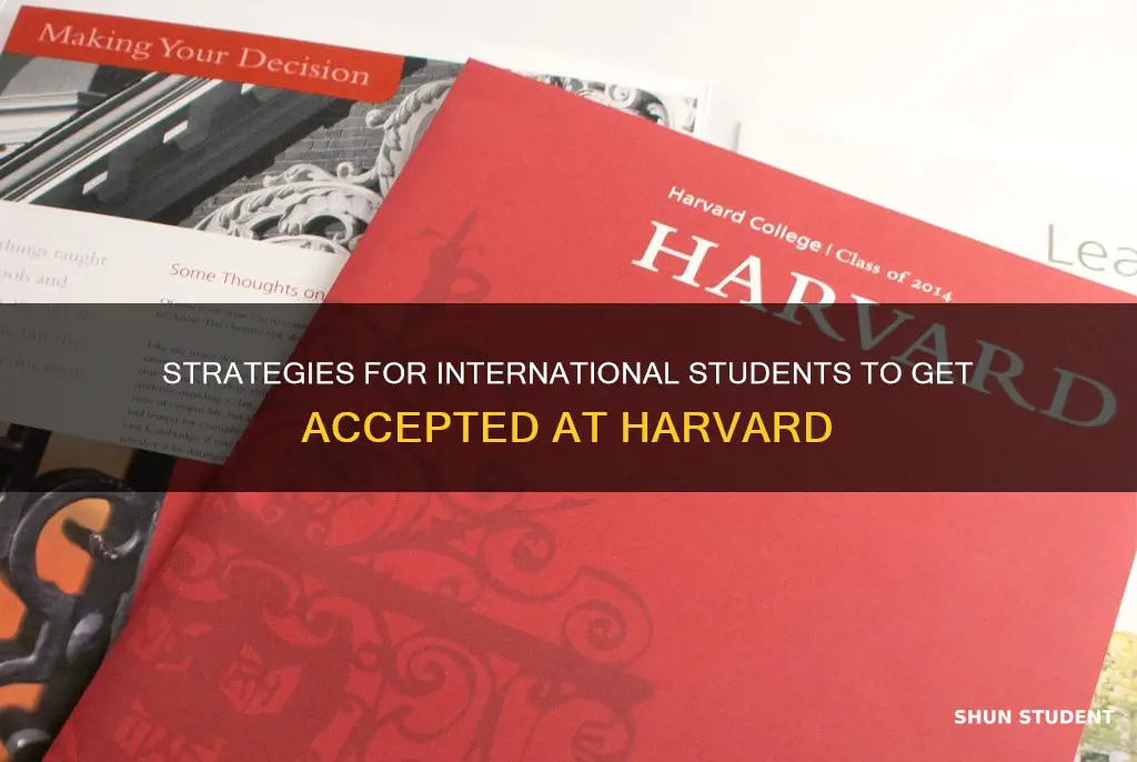 how to get into harvard as an international student