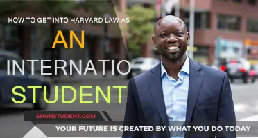 Cracking the Code: Harvard Law Admissions for International Students