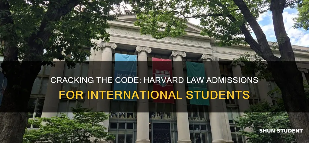 how to get into harvard law as an international student