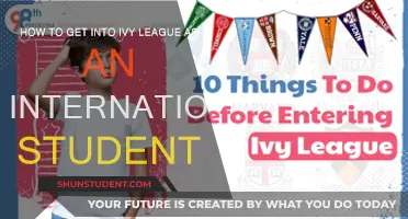 Strategies for International Students to Enter the Ivy League