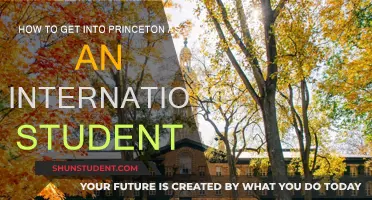 Strategies for International Students to Get Accepted at Princeton