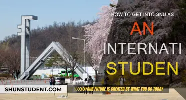 Strategies for International Students to Get into SNU