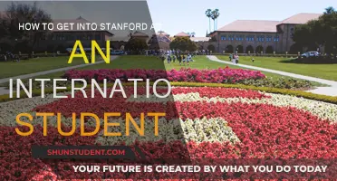 International Students: Strategies for Stanford Admissions