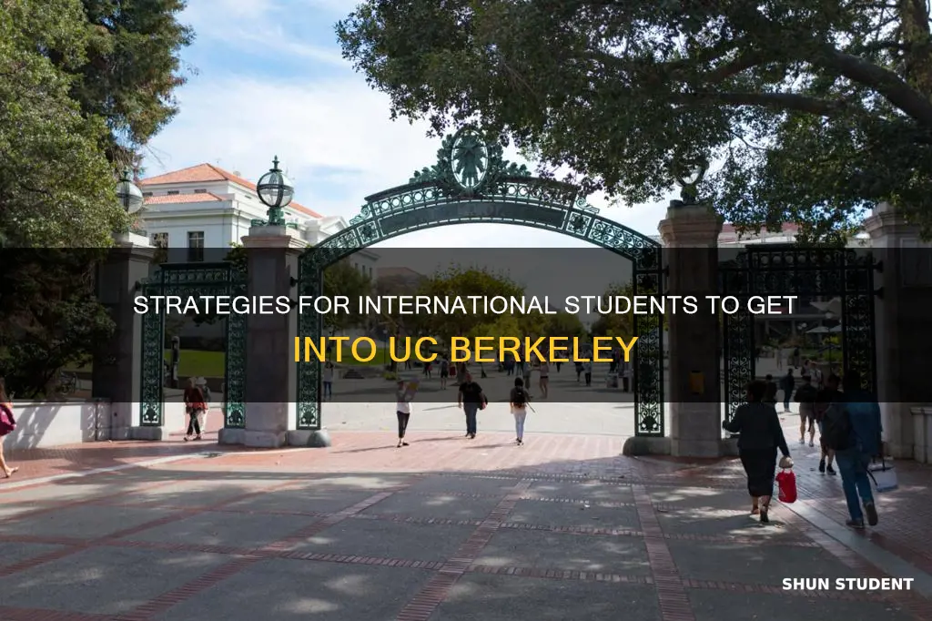 how to get into uc berkeley as an international student