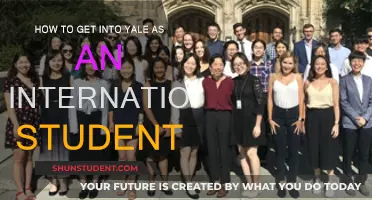 International Students: Strategies for Getting into Yale