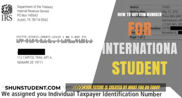 International Students: Getting Your ITIN Number