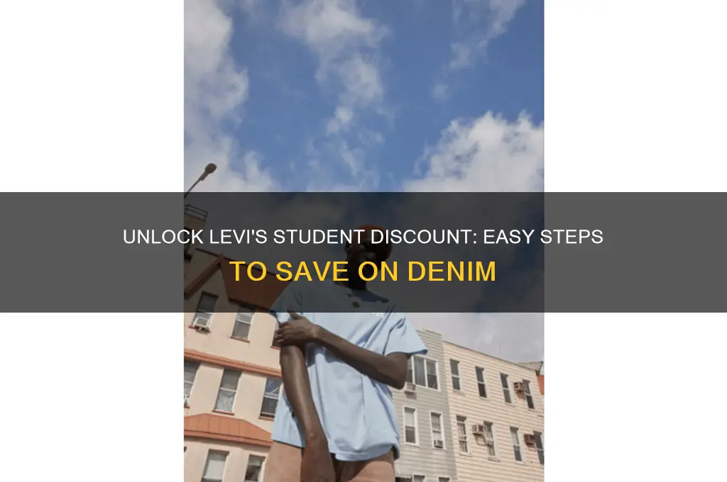 how to get levi