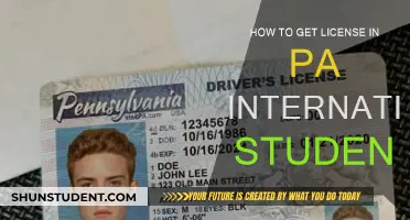 International Students: Getting a PA License