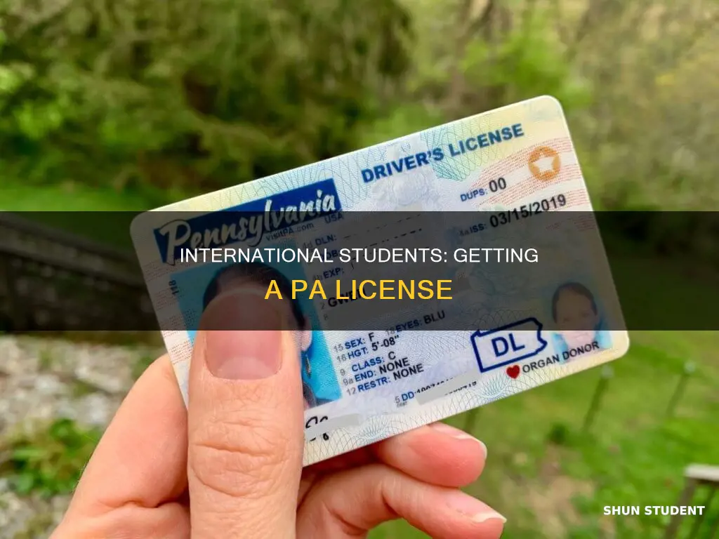 how to get license in pa international students