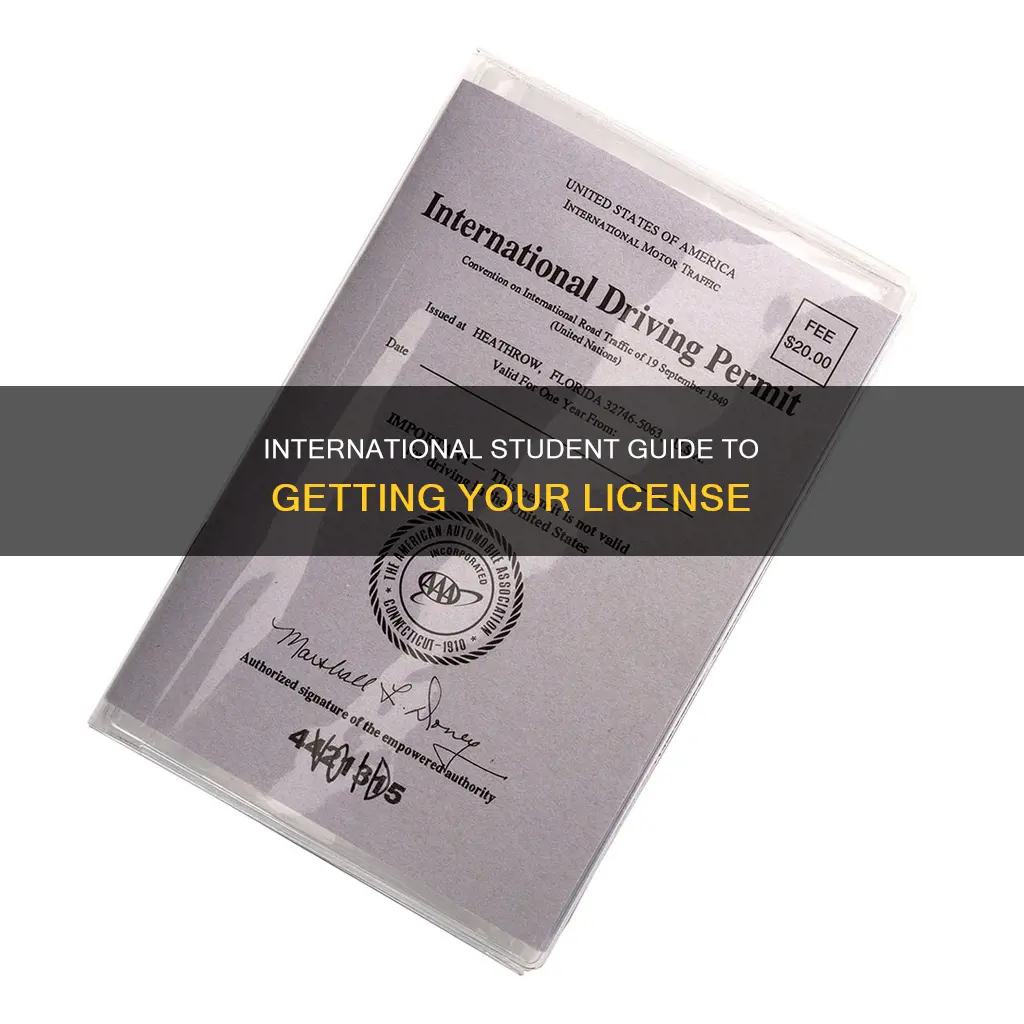 how to get liscence international student