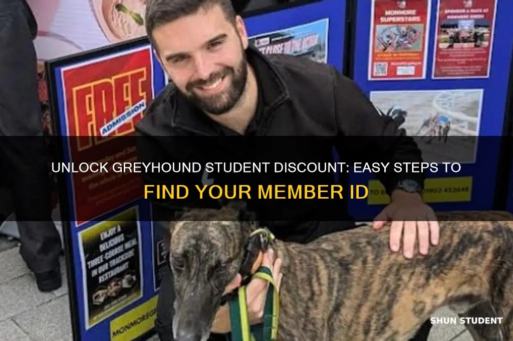 how to get member id for greyhound student discount