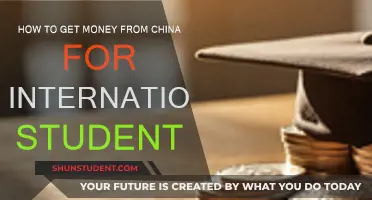 International Students: Accessing Chinese Funding Opportunities