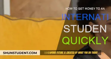 Quick Money for International Students: A Guide