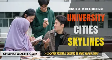 Attracting Students: Strategies for University Cities