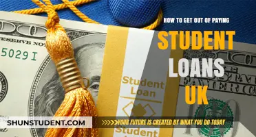 Strategies to Avoid Student Loan Payments in the UK