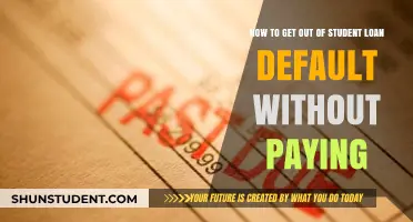 Strategies to Escape Student Loan Default Without Payment