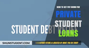 Student Loan Strategies: Negotiating Lower Payments
