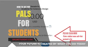 Get Paid: Pal Systems for Students