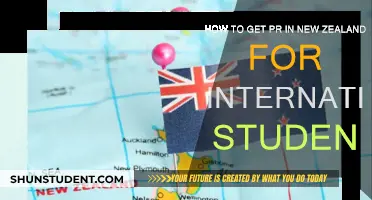 A Guide to Getting PR in New Zealand as an International Student
