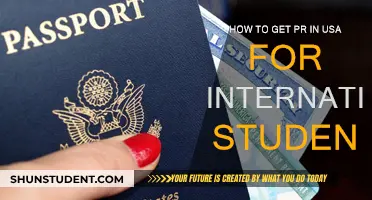 International Students: Get a USA PR Visa