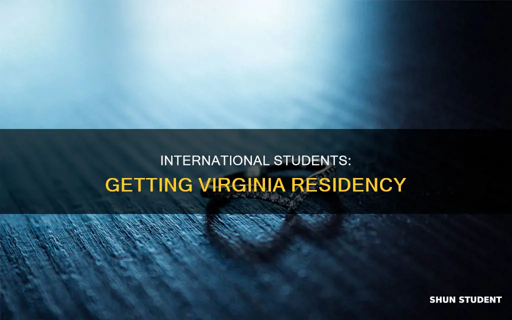 how to get residency in virginia for international students