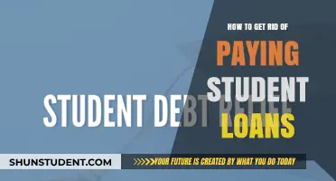 Strategies to Eradicate Student Loan Debt