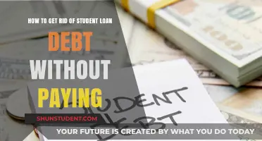 Strategies for Student Loan Debt Relief