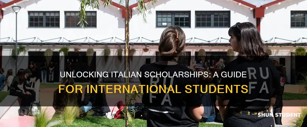 how to get scholarship in italy for international students