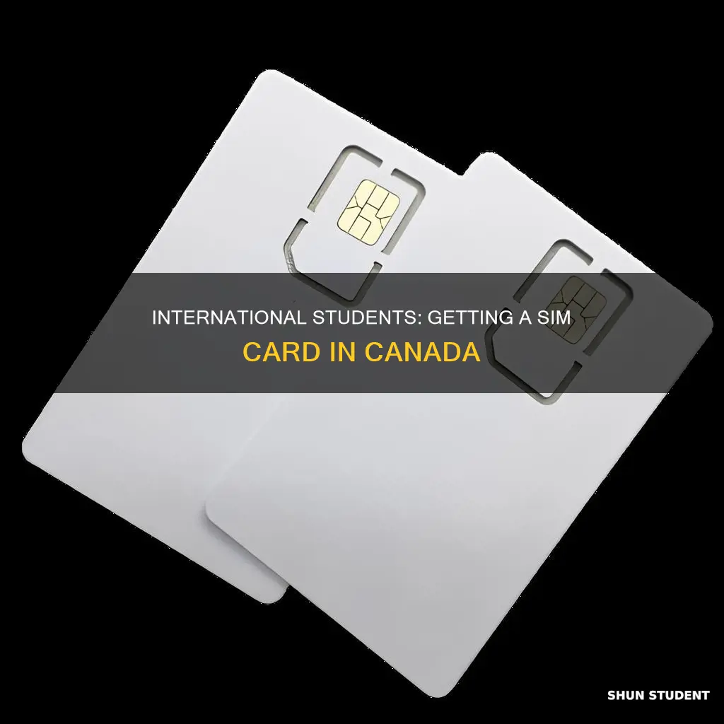 how to get sim card in canada for international students