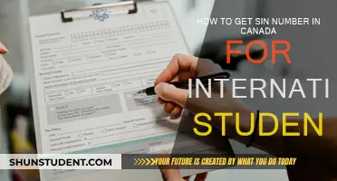 International Students: Getting Your SIN in Canada