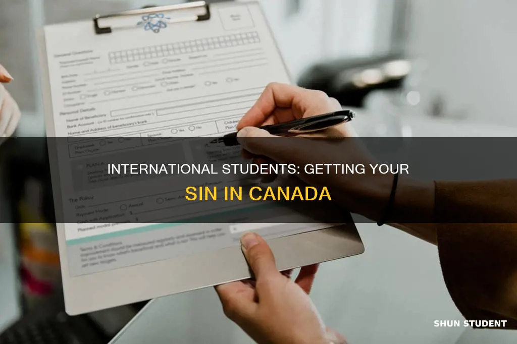 how to get sin number in canada for international student