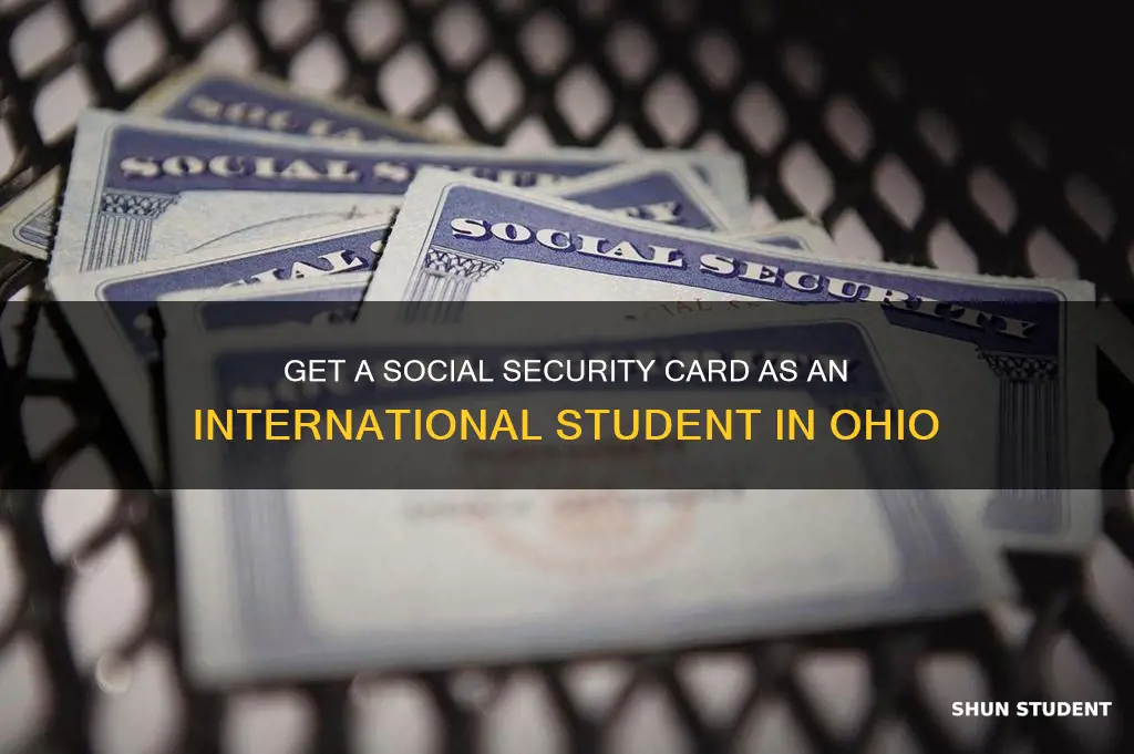how to get social security card ohio international student