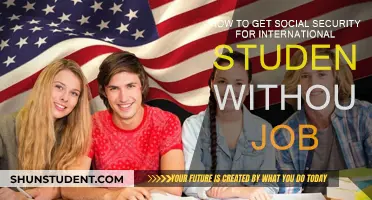 International Students: Claiming Social Security Without a Job