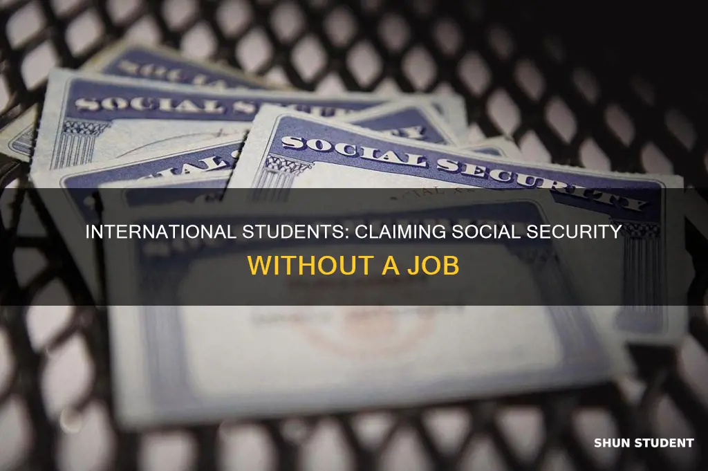 how to get social security for international student without job