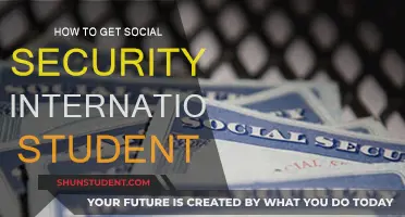 International Students: Understanding Social Security Access