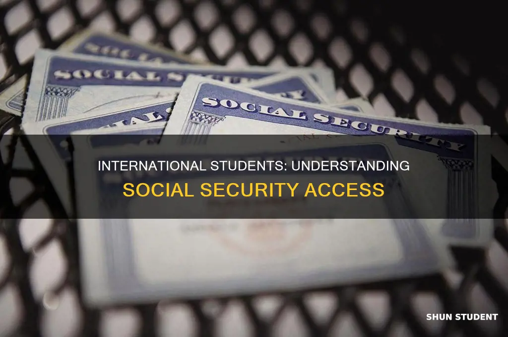 how to get social security international student