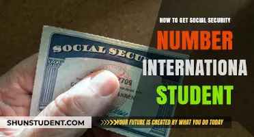 International Students: Getting Your Social Security Number