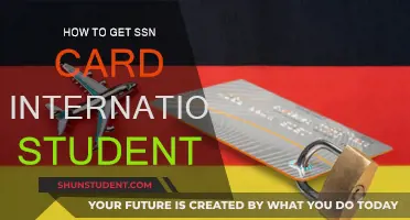 Get Your SSN: Guide for International Students