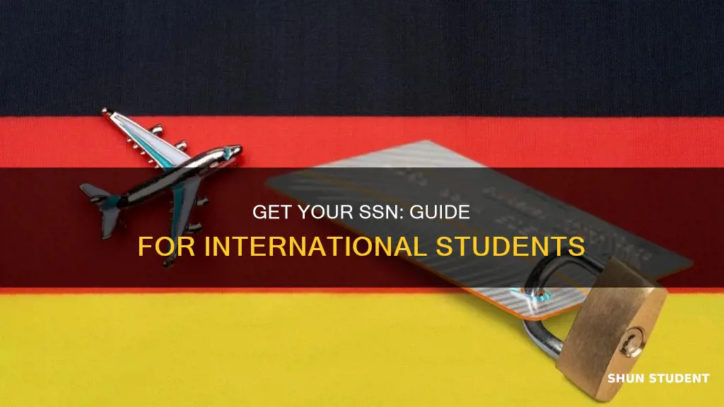how to get ssn card international student